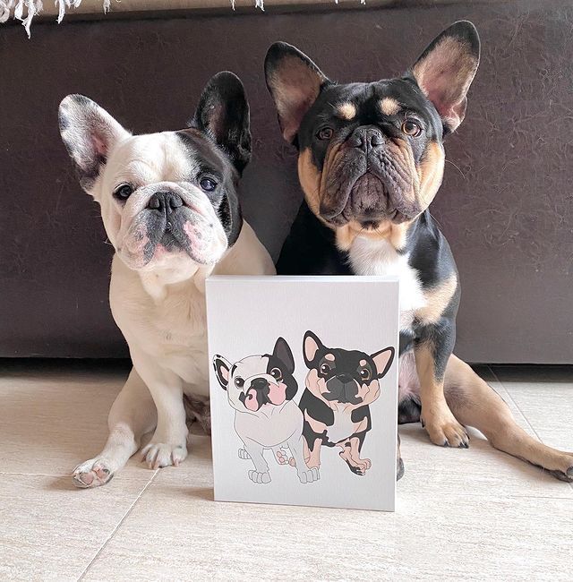 PetToonies Custom Canvas