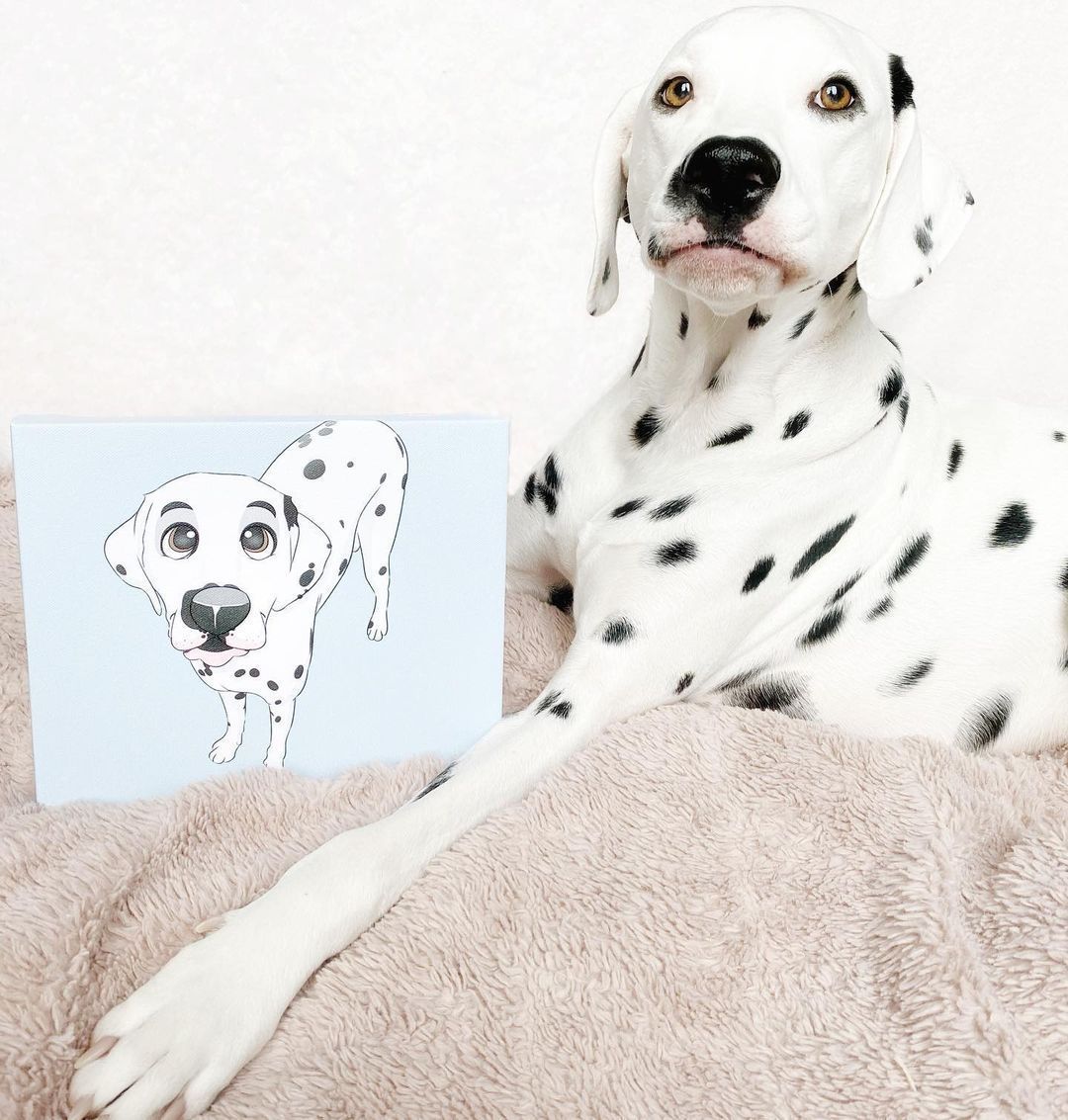 PetToonies Custom Canvas