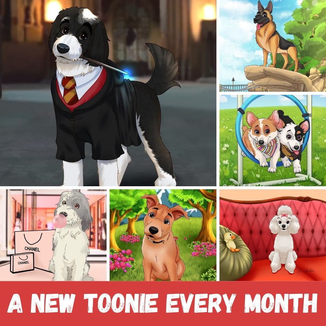 Pettoonies™ Toonie Club