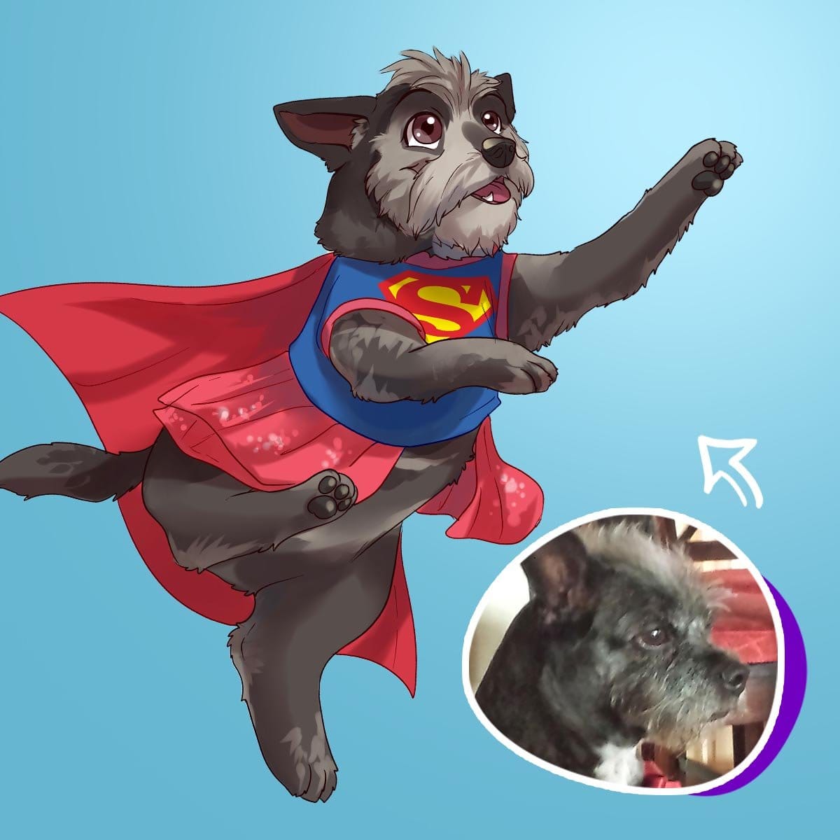 Pettoonies™ Your Pet as a Cartoon