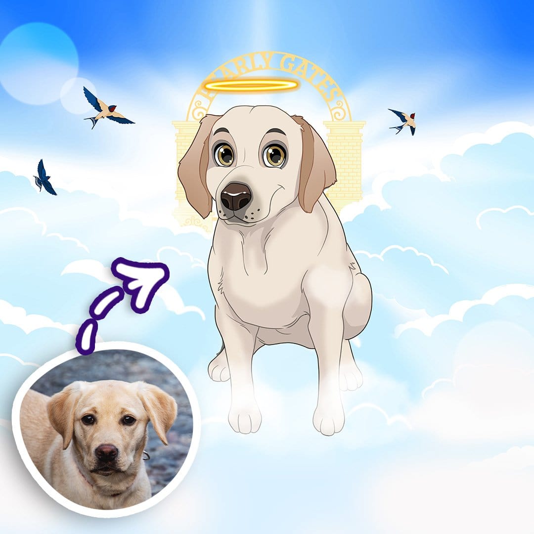 Pettoonies⢠Commemorate Your Pet