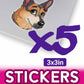 x5 Pettoonies Stickers (3x3 in)